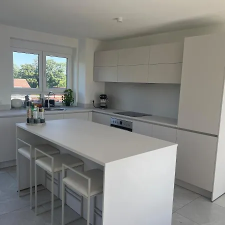 Moderne Penthouse- Mit Alpensicht Und Grossem Balkon Naehe Messe * フリードリヒスハーフェン